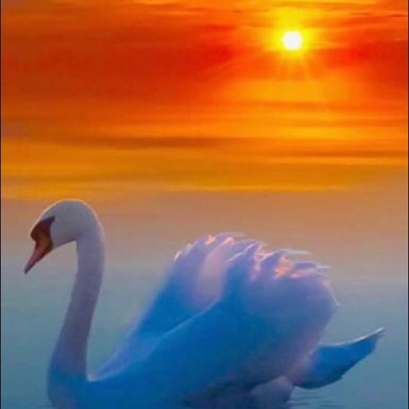 Meet your Posher, Paivi - Picture 1 of 1